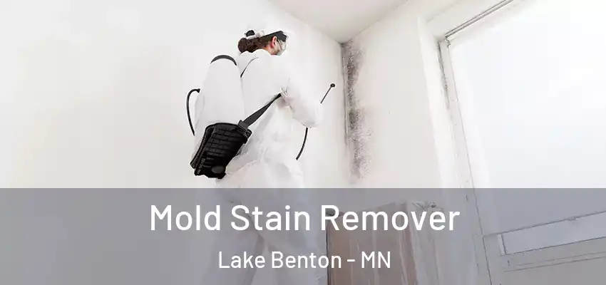 Mold Stain Remover Lake Benton - MN