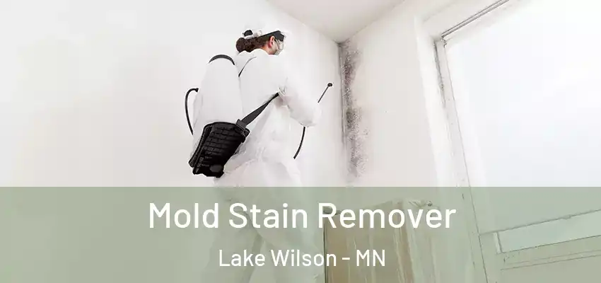 Mold Stain Remover Lake Wilson - MN