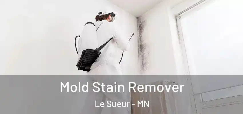 Mold Stain Remover Le Sueur - MN