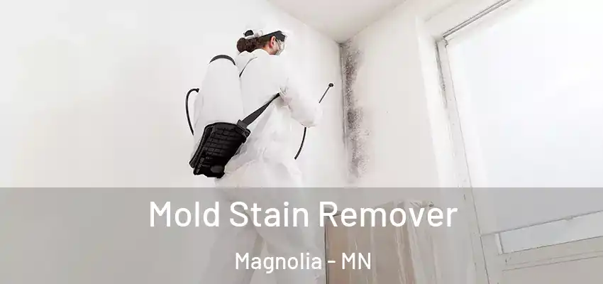 Mold Stain Remover Magnolia - MN