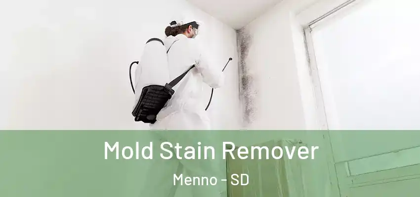 Mold Stain Remover Menno - SD