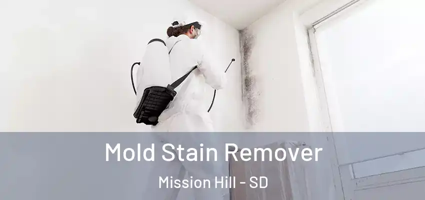  Mold Stain Remover Mission Hill - SD