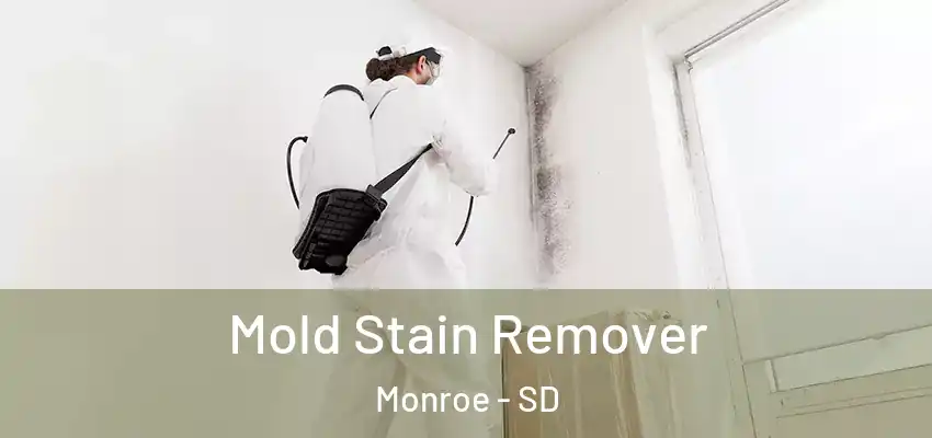  Mold Stain Remover Monroe - SD