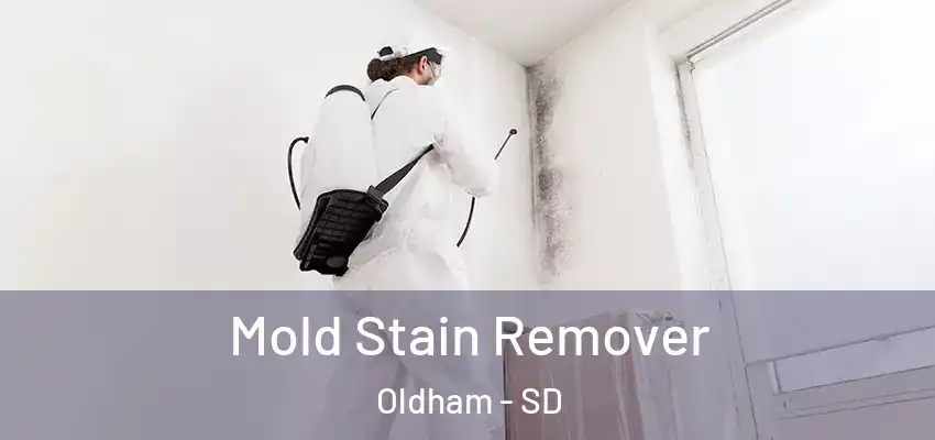  Mold Stain Remover Oldham - SD