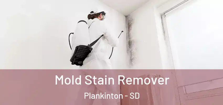  Mold Stain Remover Plankinton - SD