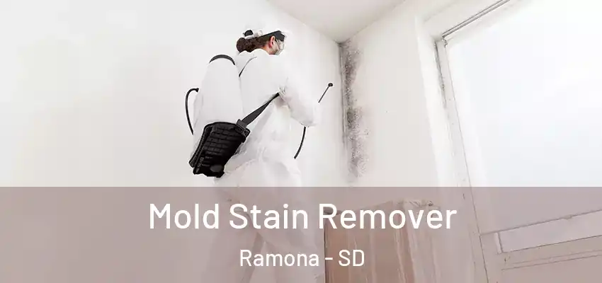  Mold Stain Remover Ramona - SD
