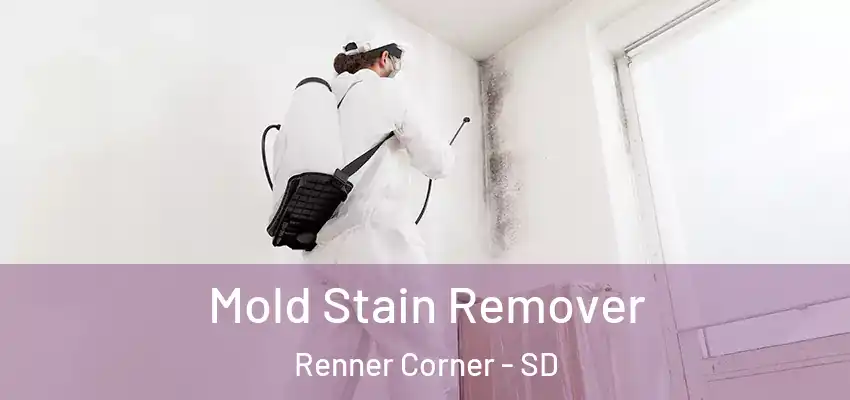  Mold Stain Remover Renner Corner - SD