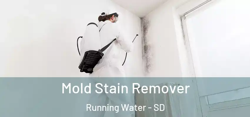  Mold Stain Remover Running Water - SD
