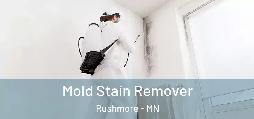 Mold Stain Remover Rushmore - MN