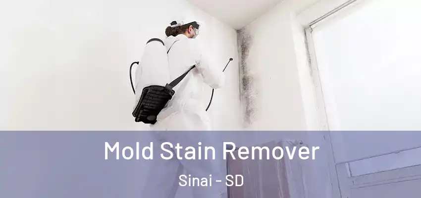  Mold Stain Remover Sinai - SD