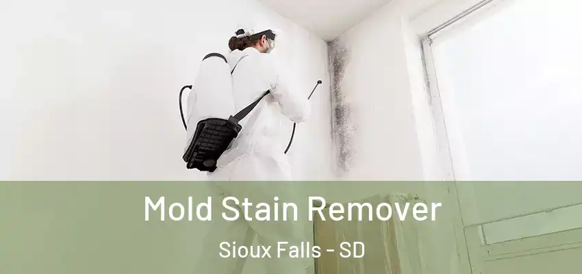 Mold Stain Remover Sioux Falls - SD