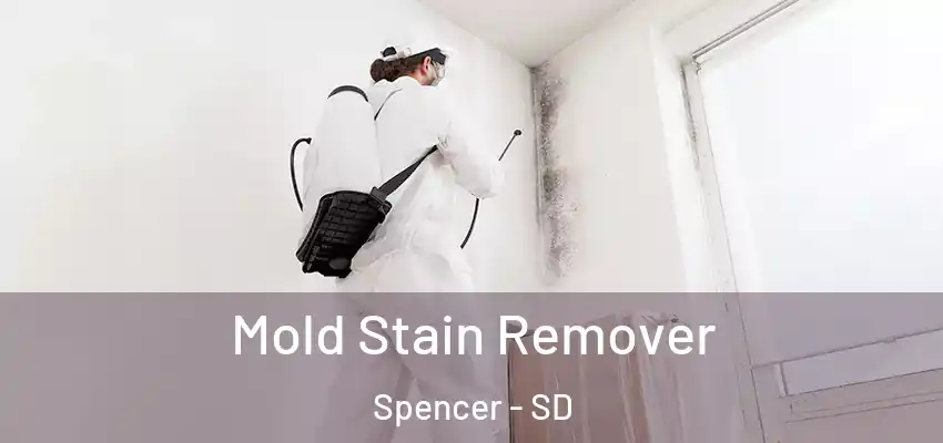  Mold Stain Remover Spencer - SD