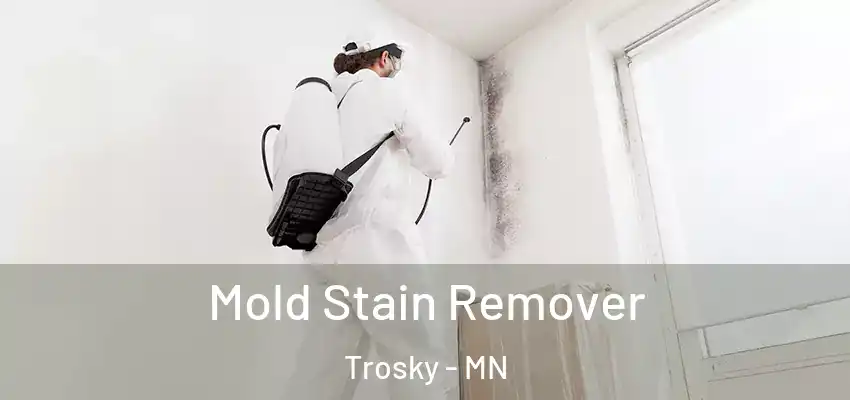  Mold Stain Remover Trosky - MN
