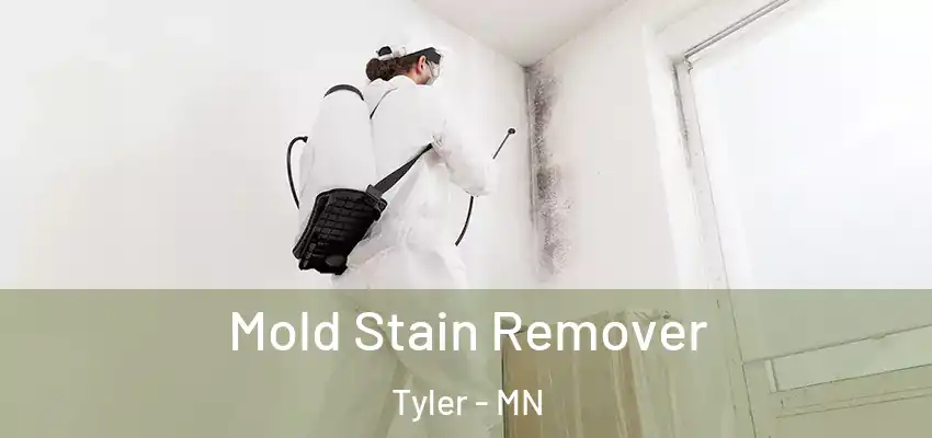 Mold Stain Remover Tyler - MN