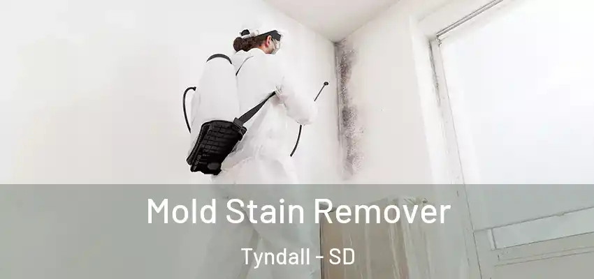 Mold Stain Remover Tyndall - SD