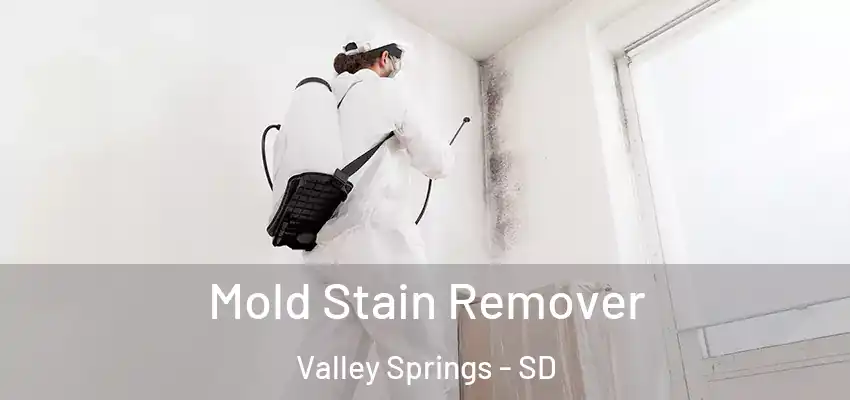 Mold Stain Remover Valley Springs - SD
