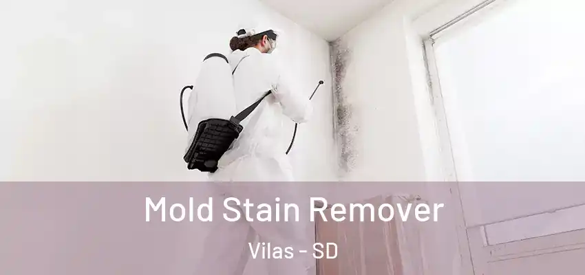  Mold Stain Remover Vilas - SD
