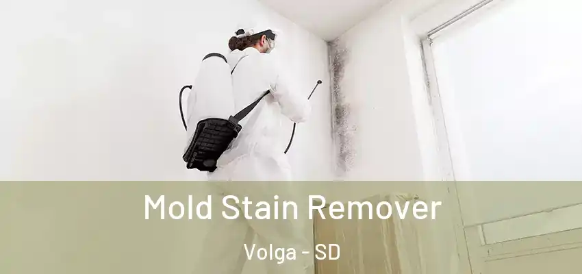 Mold Stain Remover Volga - SD