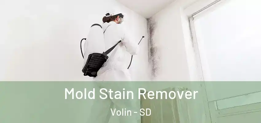 Mold Stain Remover Volin - SD