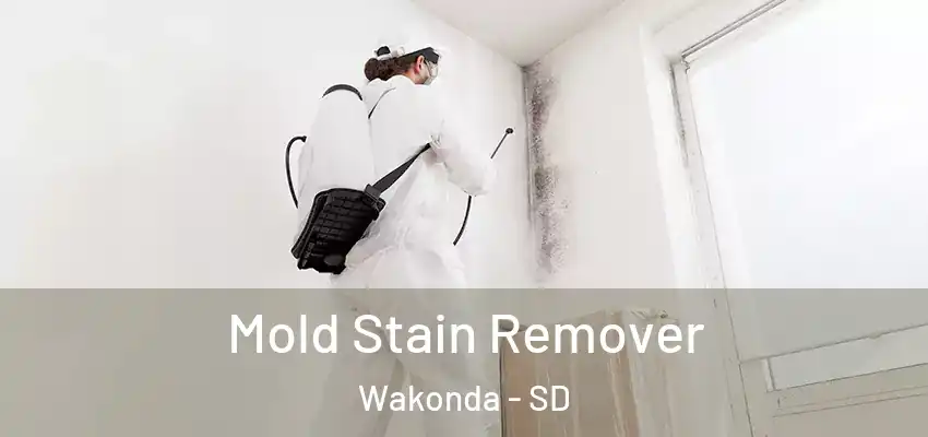 Mold Stain Remover Wakonda - SD