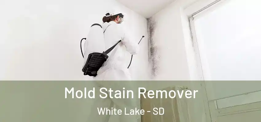 Mold Stain Remover White Lake - SD