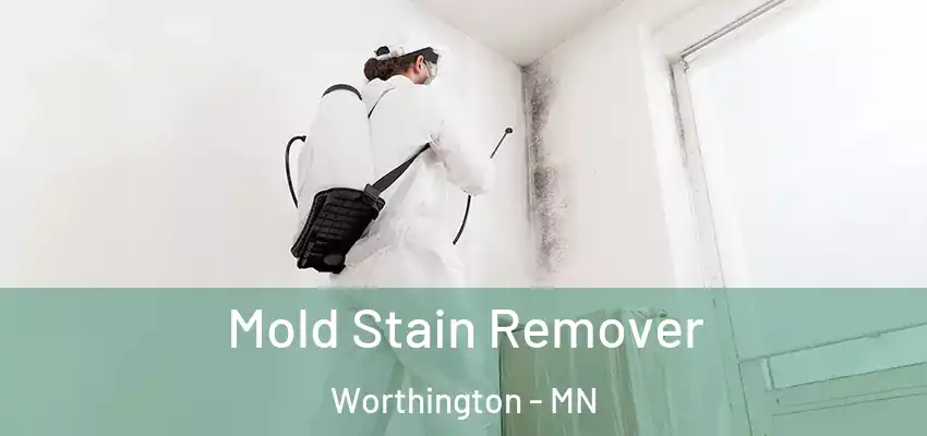 Mold Stain Remover Worthington - MN
