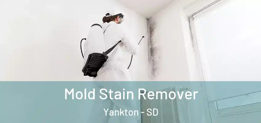  Mold Stain Remover Yankton - SD