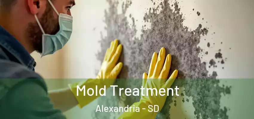 Mold Treatment Alexandria - SD