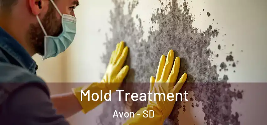  Mold Treatment Avon - SD