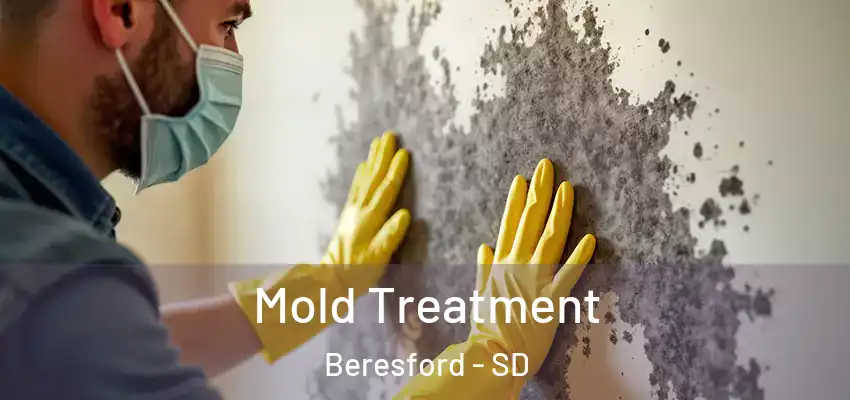 Mold Treatment Beresford - SD