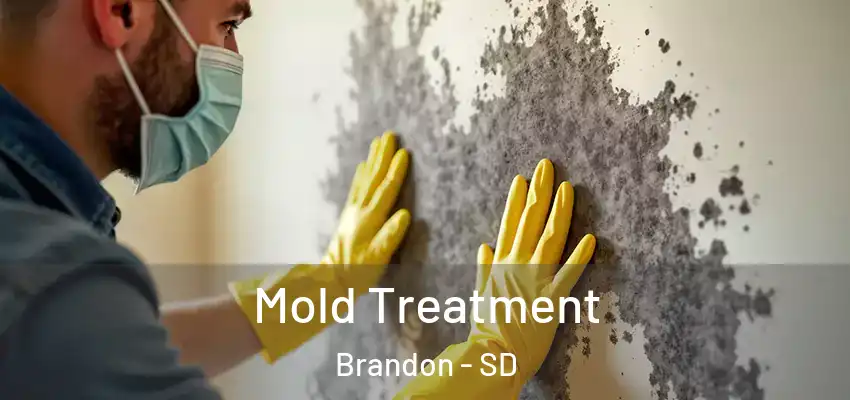 Mold Treatment Brandon - SD