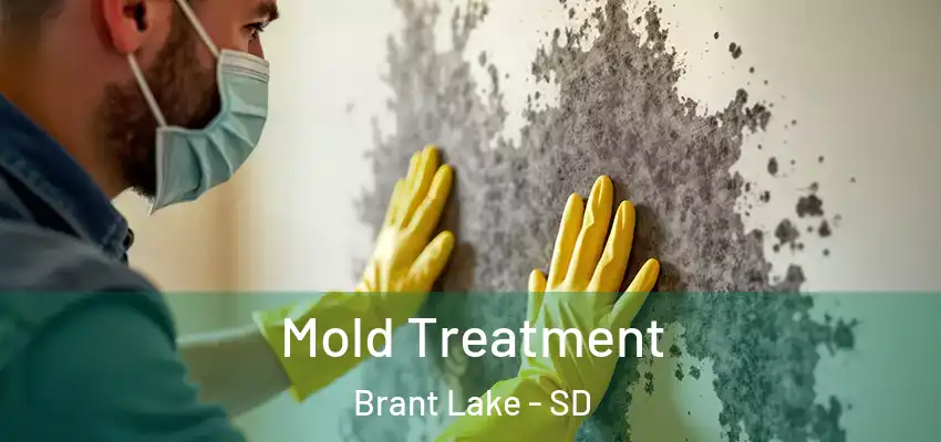  Mold Treatment Brant Lake - SD