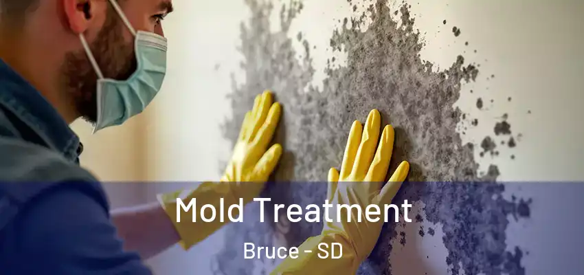 Mold Treatment Bruce - SD