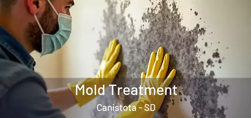 Mold Treatment Canistota - SD