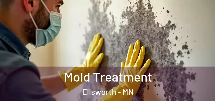  Mold Treatment Ellsworth - MN
