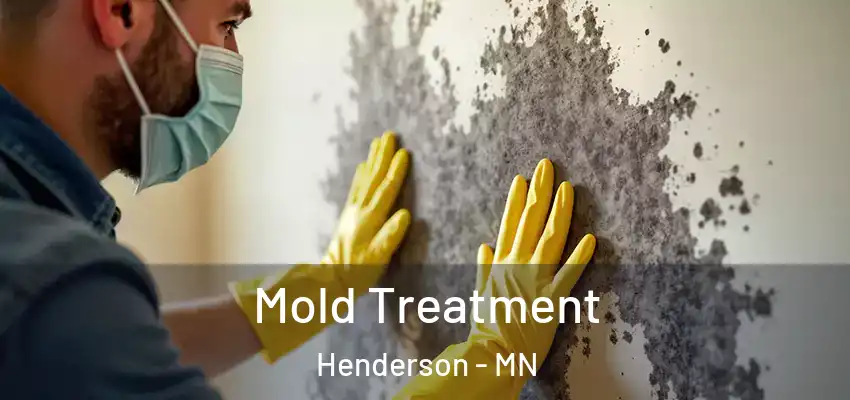  Mold Treatment Henderson - MN