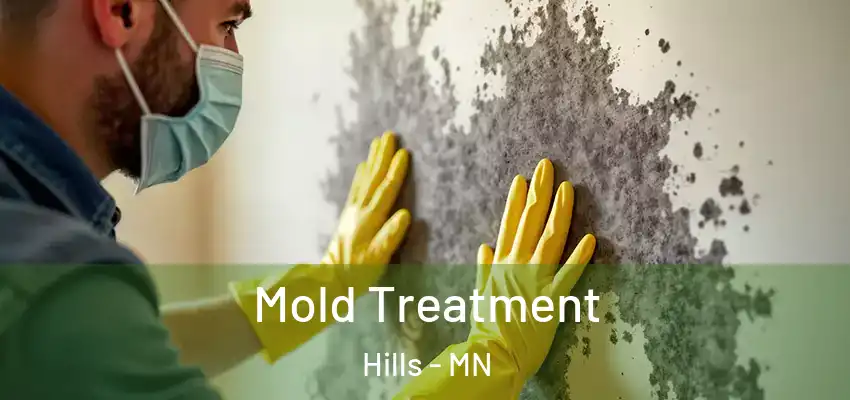  Mold Treatment Hills - MN