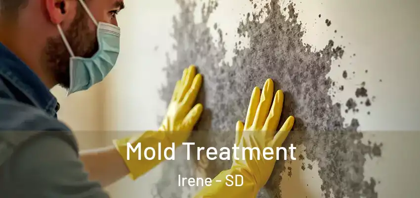 Mold Treatment Irene - SD