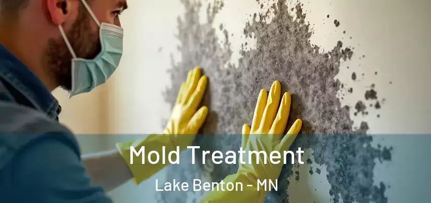 Mold Treatment Lake Benton - MN