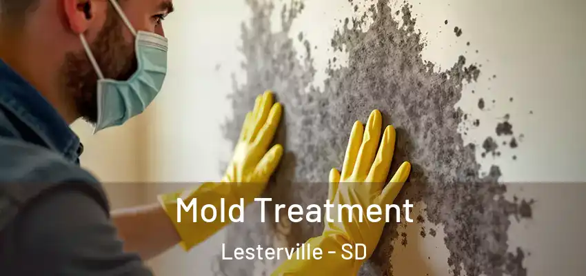  Mold Treatment Lesterville - SD