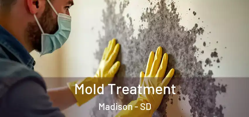 Mold Treatment Madison - SD