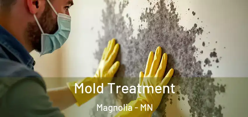  Mold Treatment Magnolia - MN