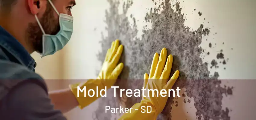 Mold Treatment Parker - SD