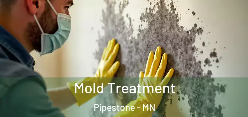 Mold Treatment Pipestone - MN