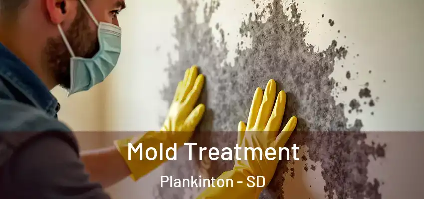  Mold Treatment Plankinton - SD
