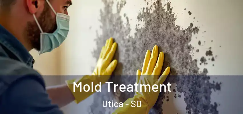  Mold Treatment Utica - SD