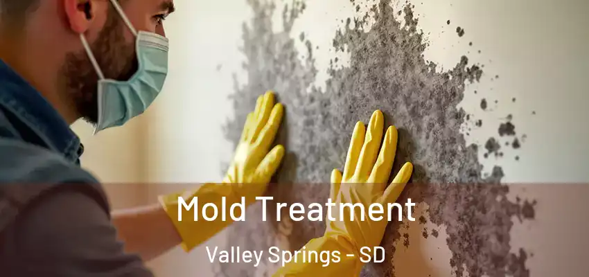 Mold Treatment Valley Springs - SD