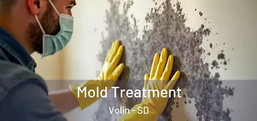 Mold Treatment Volin - SD