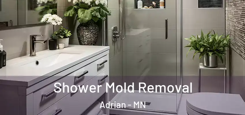  Shower Mold Removal Adrian - MN