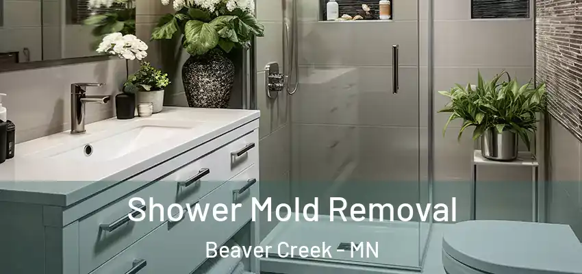  Shower Mold Removal Beaver Creek - MN